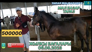 06.08.2023 ЖЫЛҚЫ БАҒАСЫ | МАЛ БАЗАР 2023 | МАЛ БАЗАР ТАРАЗ ✅