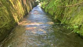 Fish Baffles in Open Channel