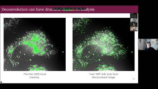 Introduction to 2D and 3D deconvolution   2026 Net Worth