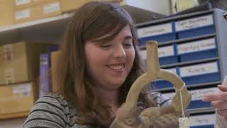 The Undergraduate Archaeology Course at Cambridge