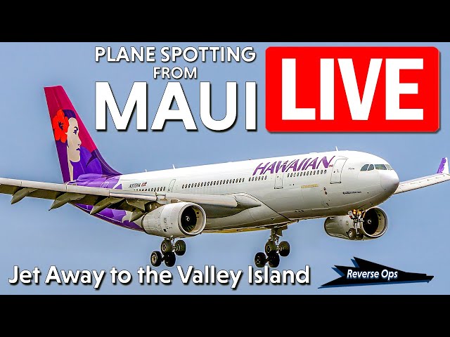 【マーシー】ロングボード　FLIGHT HAWAII Makua 9.6 LIVE🔴Plane Spotting from Maui Hawaii 