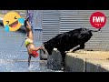 Funny & Hilarious People's Life 😂 #74 - Try not to Laugh | Funny Fails Compilation 2024