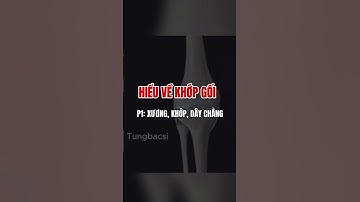 CẤU TẠO KHỚP GỐI P1: XƯƠNG -  KHỚP - DÂY CHẰNG