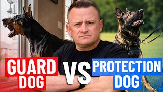 Do You REALLY Need a $150,000 Protection Dog!