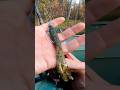 Tube Jigs: Forgotten Techniques for Largemouth Bass #tubejig #basslure #fishinglures #largemouthbass