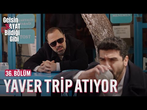 Yaver Trip Atıyor - Gelsin Hayat Bildiği Gibi (36. Bölüm)