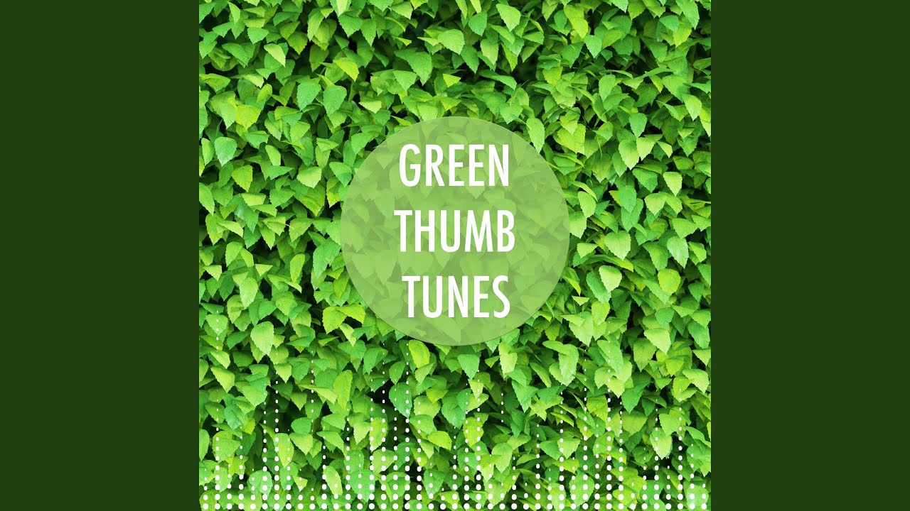 Sleduj Green Noise in the Forest (Loopable, No Fade) na YouTube