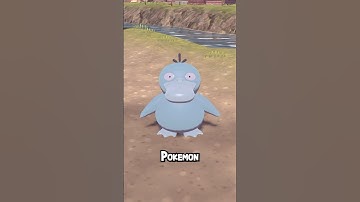 Day 7 Hunting an Alpha Shiny Psyduck in Pokemon Legends Arceus!