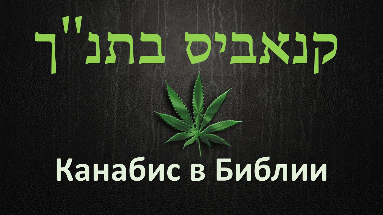 библия про марихуану