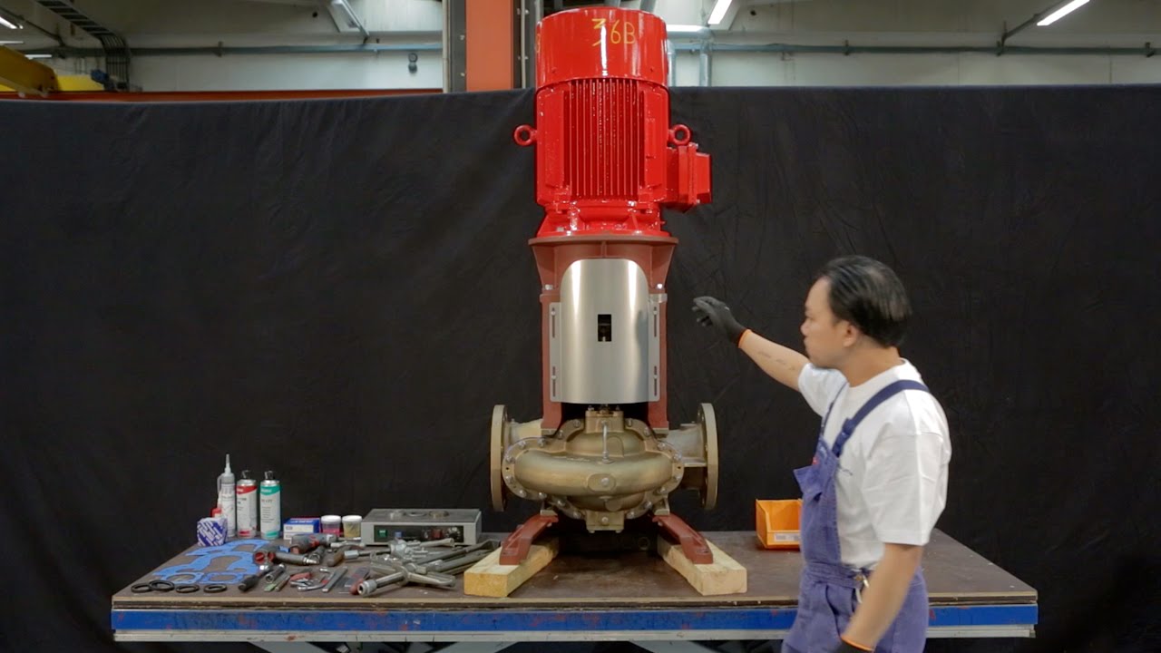 IRON Pump QV 10/300 YouTube