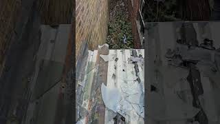 Near death incident, emergency response, #roofrepair #mindset #business #entrepreneur #customer