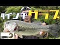 【バス釣り】検証!!ゲーリーの4インチグラブって本当によく釣れるの??