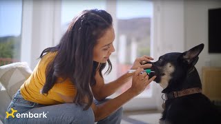 How Dog DNA Testing Could Prevent Surgery | Julana’s Story | Swab Stories