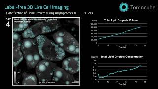 Adipogenesis, lipid droplet growth, and quantification