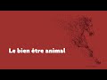 Serge lecomte  candidat ffe 2021  le bientre animal