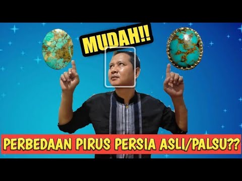 Perburuan Pirus Langka Yang Menghasilkan Kejutan Luar Biasa. 