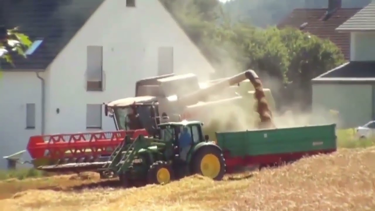 Getreidefelder am Vorort von Kornreife bis Ernte.
