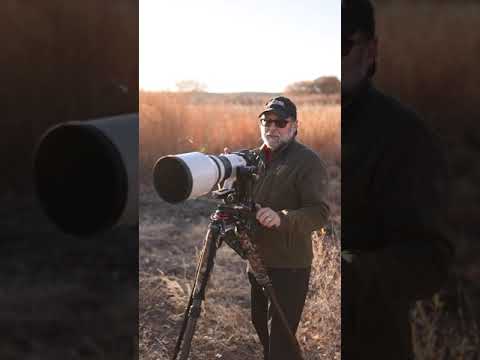 Canon Explorer of