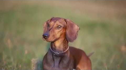 ER KillER - Outtakers