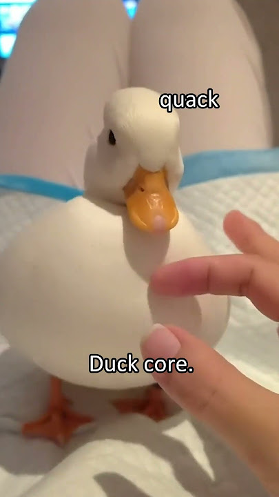 Duck core. 🦆🦆