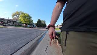 20260819 Ella VID 1