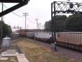 Railfanning the Wisconsin Dells, Rochelle Railroad park, and Goshen, IN