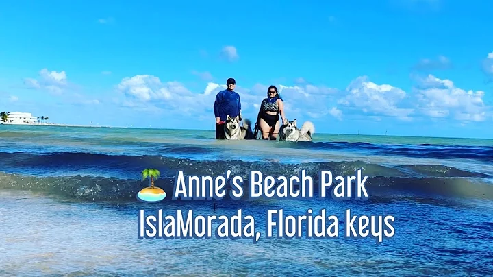 Annes Beach Park, Islamorada | pet friendly beach ...