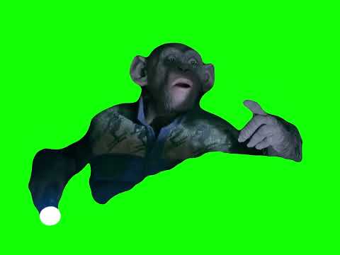 Monkey saying "OH NO!" meme - Bad Ape War for the Planet of the Apes (Green Screen)