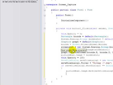 Visual C# 2008 Screen Capture