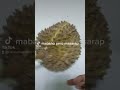 #durian
