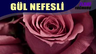 Mustafa Sekman - Gül Nefesli İlahisi Ve Bir Yıldızdır Sahabe İlahisi New Islamic Song