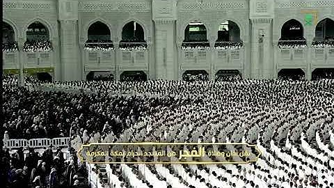 تلاوة صلاة الفجر للشيخ الوليد الشمسان من بدايات سورة آل عمران | ٢-٥-١٤٤٧ هـ