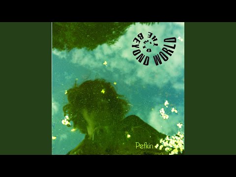 Pefkin — I Am the Austringer
