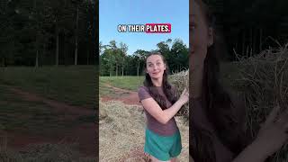 a busy busy day but i’m so thankful 🫶 #western #horses #rodeo #mom #boymom #equestrian