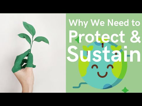 5 Lesson Learned - Why We Need to Protect & Sustain Earth (2020)  - SAVE THE PLANET
