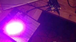 Intel Galileo + Fadecandy = NeoPixels