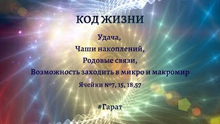 Код Жизни #Гарат Об удаче, чаше накоплений, родовых связях и не только.