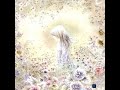 秋桜 さだまさし