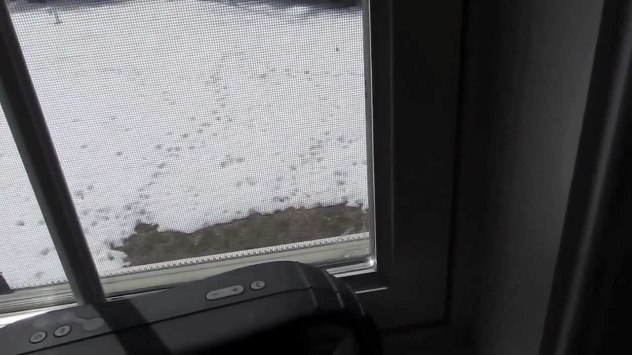 Best Bluetooth Speakers- wireless speaker system