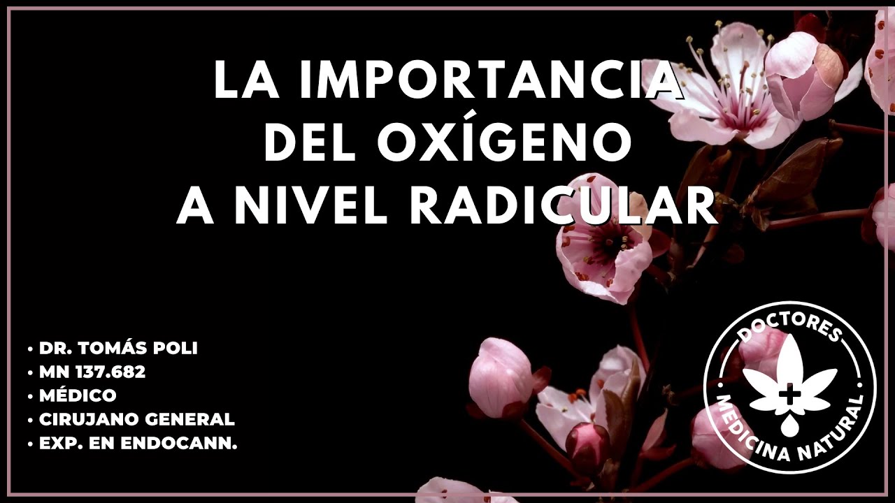 La importancia del oxígeno a nivel radicular en cultivo (Dr. Tomás Poli)