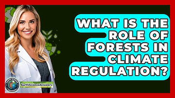 What Is The Role Of Forests In Climate Regulation? - Earth Science Answers