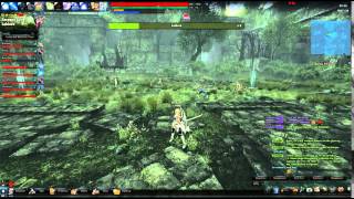 Vindictus Lakiora bug