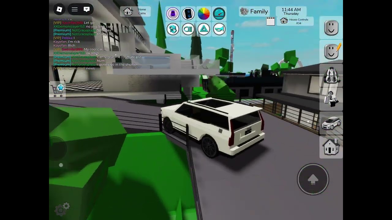 I become rich in Roblox Brookhaven RP 