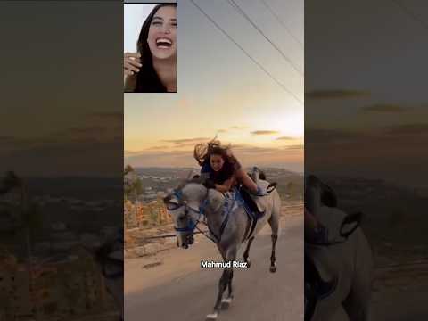 #horse #equestrianjourney #equestrian #horselov #يوميات_ترند #love #horsefan #horseenthusiast
