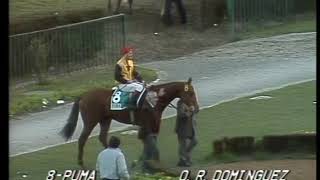 1984 07 29 Gran Premio 2000 Guineas G 2 1984 PUMA - HSI
