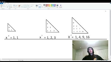 Software of America: Polynomial Functions