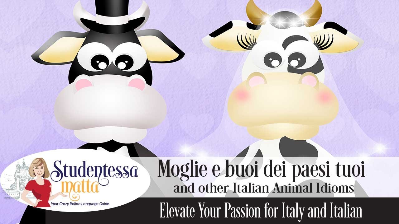 Moglie e buoi dei paesi tuoi and other Italian Idioms Youtube Video