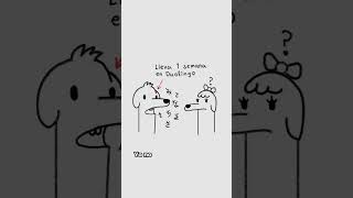 Fragmento de Diarios, Alejandra Pizarnik 🐝  #poesia #literatura #escritura #lectura #arte #frases