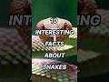 10 Interesting Facts About Snakes #top #top10 #amazingfacts #interestingfacts #snake #snakes #trend