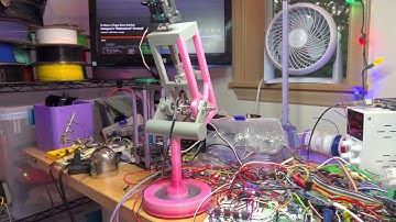 Parrot: Proper Perch Positioning!